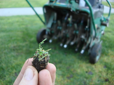 Lawn Aeration | Aération de pelouse